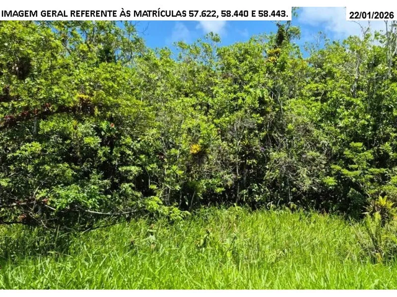 Imóvel rural em leilão