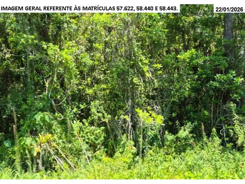 Terreno em leilão
