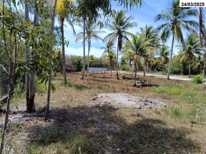 Imóvel rural em leilão