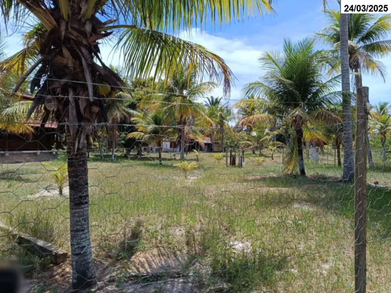 Imóvel rural em leilão