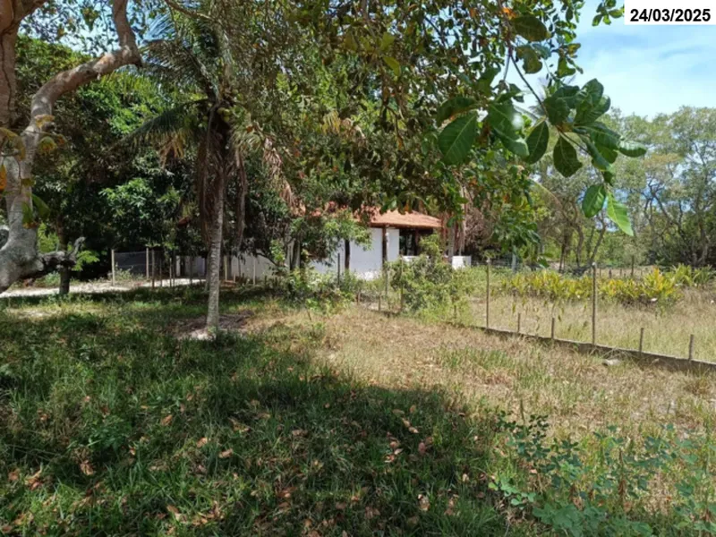 Imóvel rural em leilão