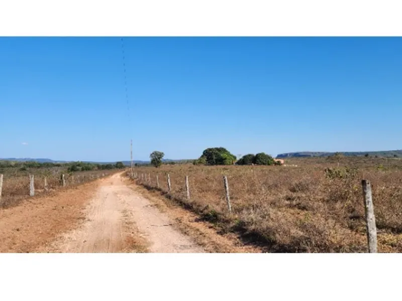 Imóvel rural em leilão