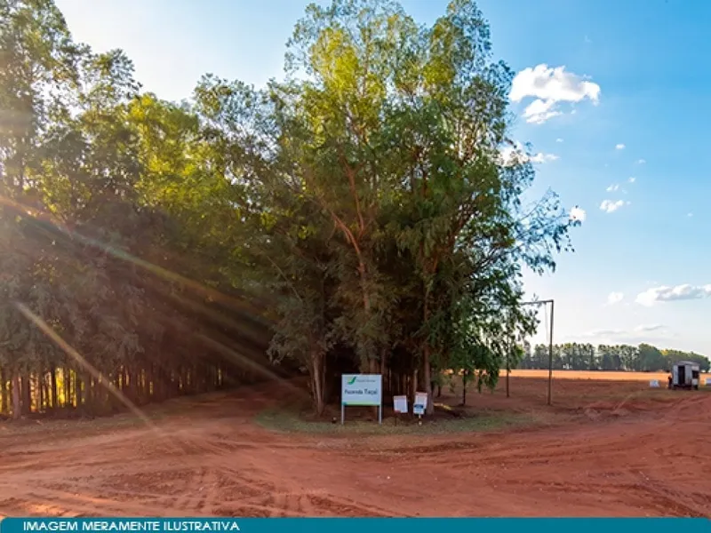 Imóvel rural em Leilão Judicial