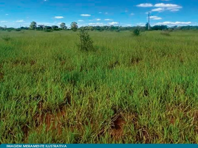 Terreno em leilão