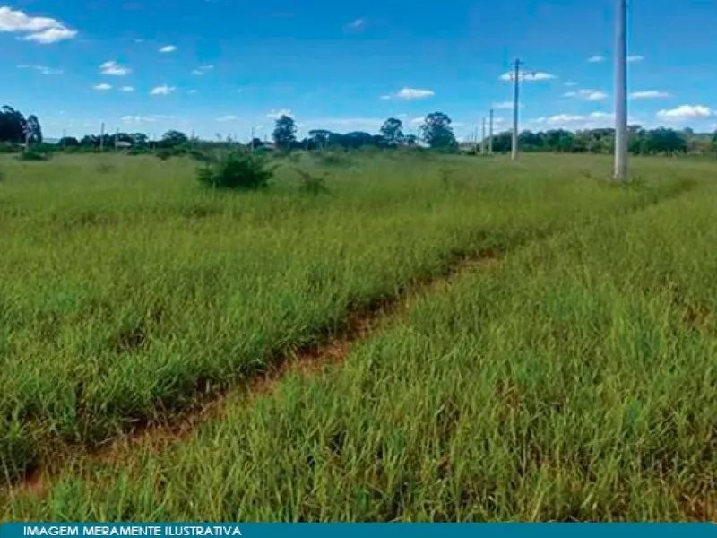Terreno em leilão