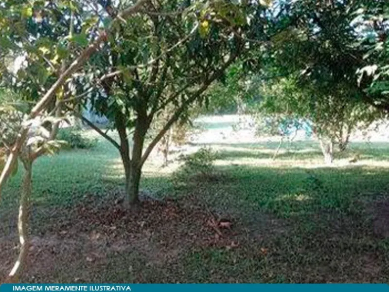 Terreno em leilão