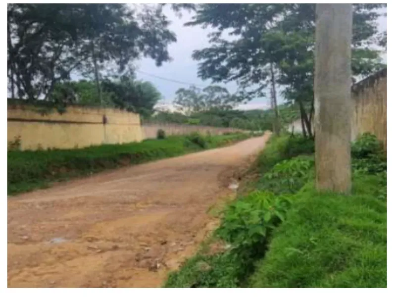 Imóvel rural em leilão