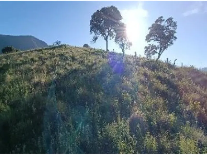 Imóvel rural em Leilão Extrajudicial