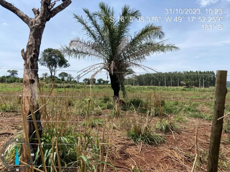 Terreno em leilão