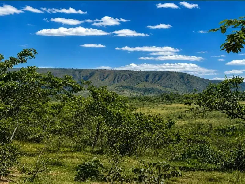 Imóvel rural em Leilão Judicial