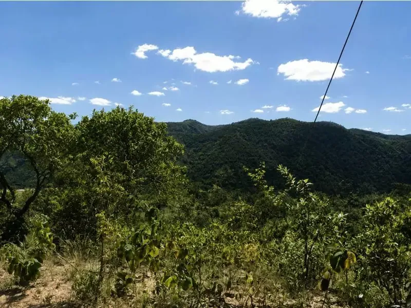Imóvel rural em Leilão Judicial