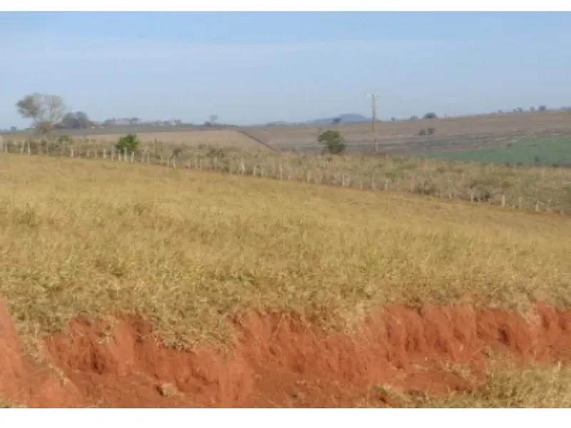 Imóvel rural em leilão