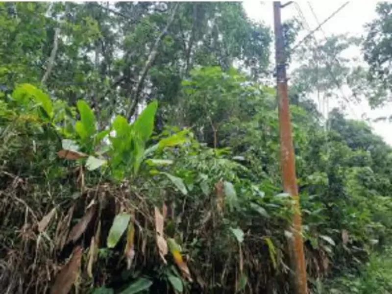 Terreno em leilão