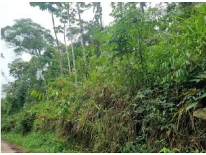 Terreno em leilão