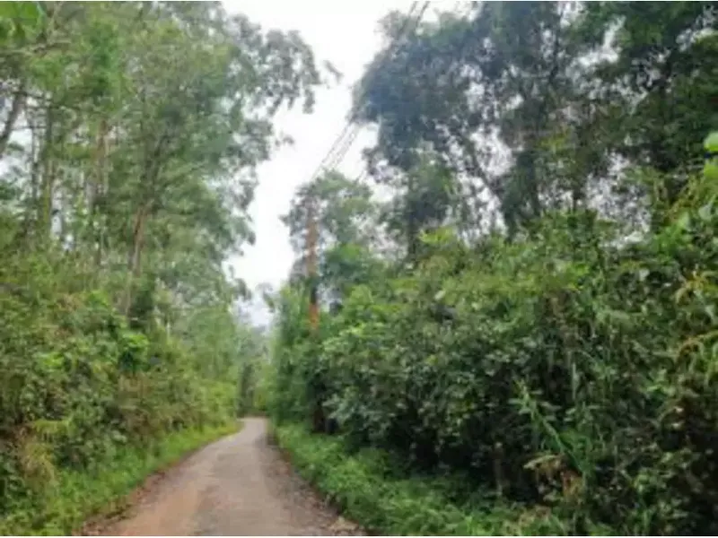 Terreno em leilão