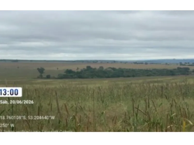 Imóvel rural em leilão