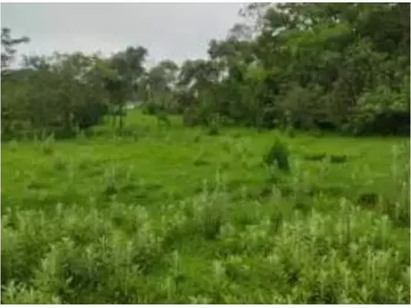 Terreno em Leilão Extrajudicial