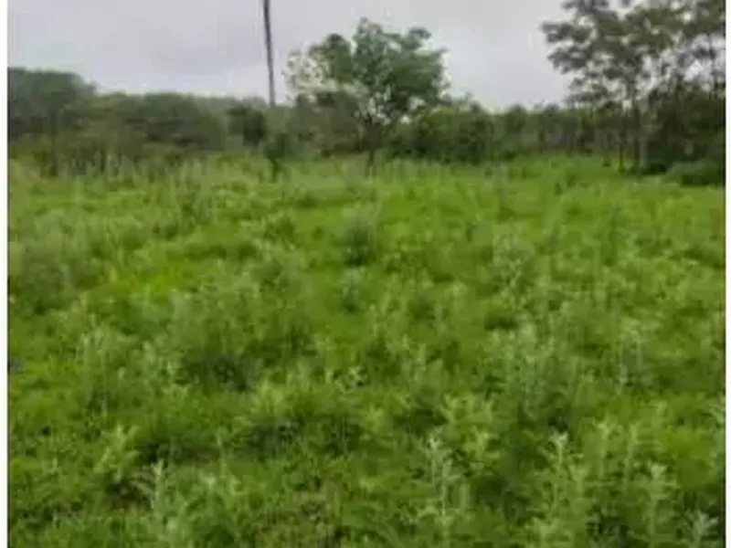 Terreno em leilão