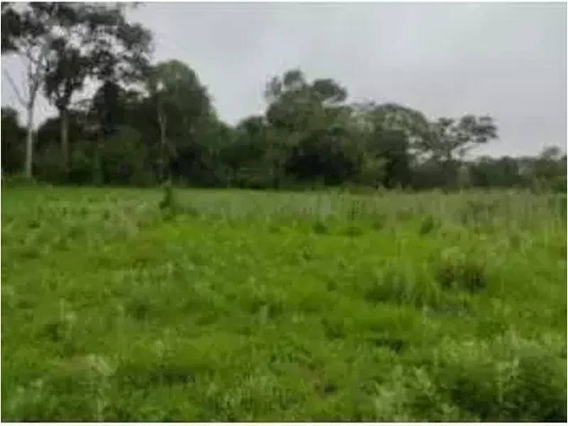 Terreno em leilão