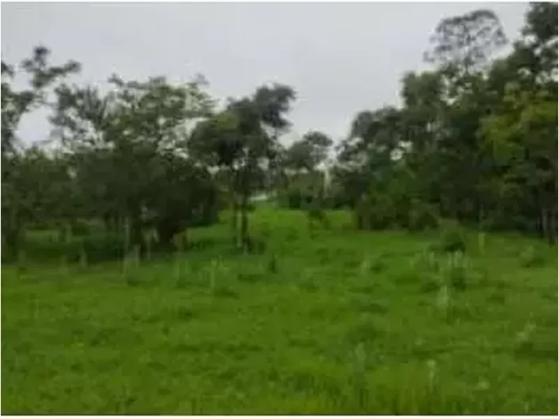 Terreno em leilão