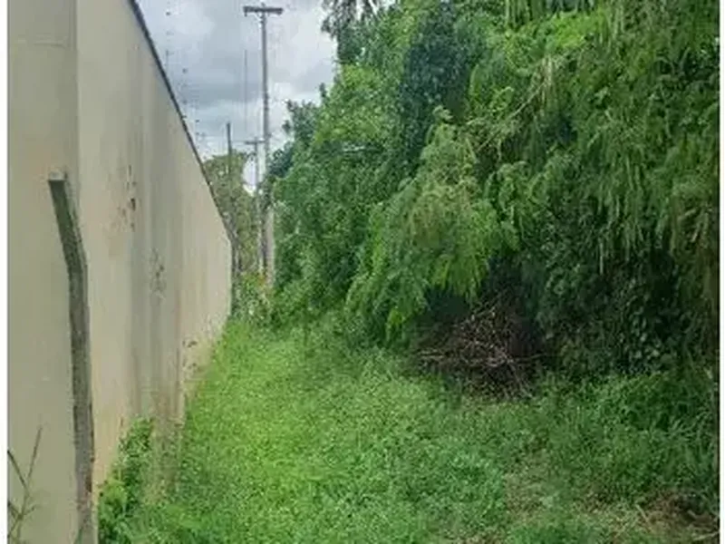 Terreno em leilão
