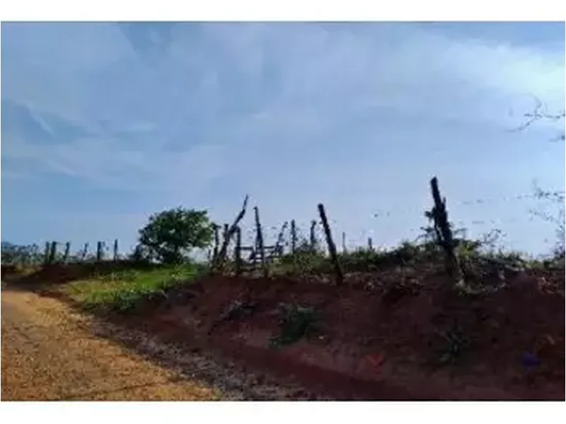Terreno em leilão