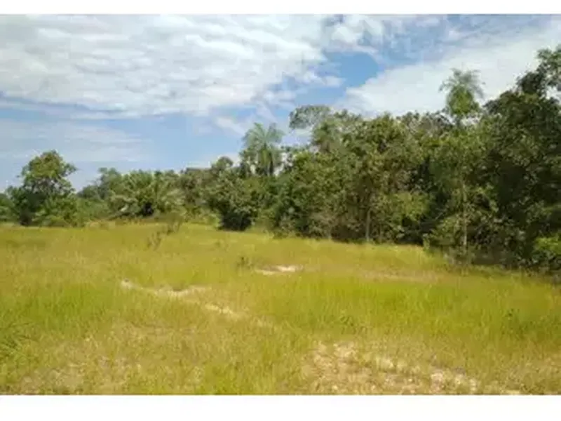 Imóvel rural em leilão