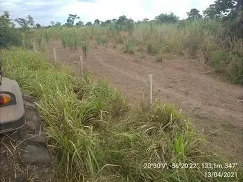 Imóvel rural em leilão