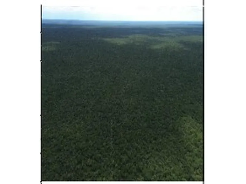 Imóvel rural em Leilão Extrajudicial