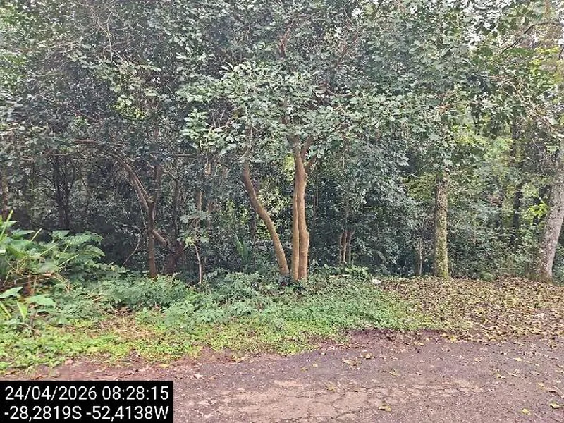 Terreno em Licitação