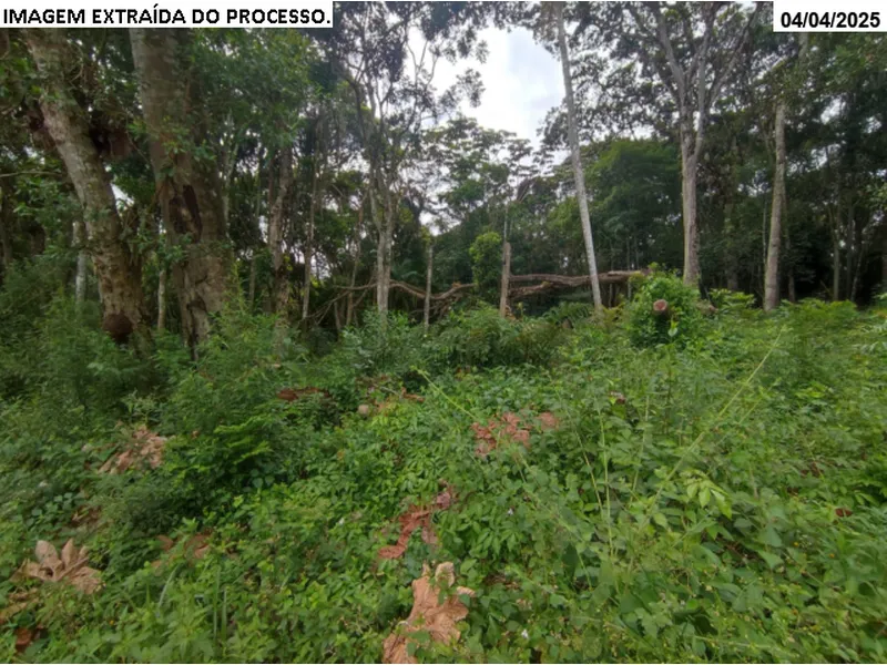Terreno em Venda Direta