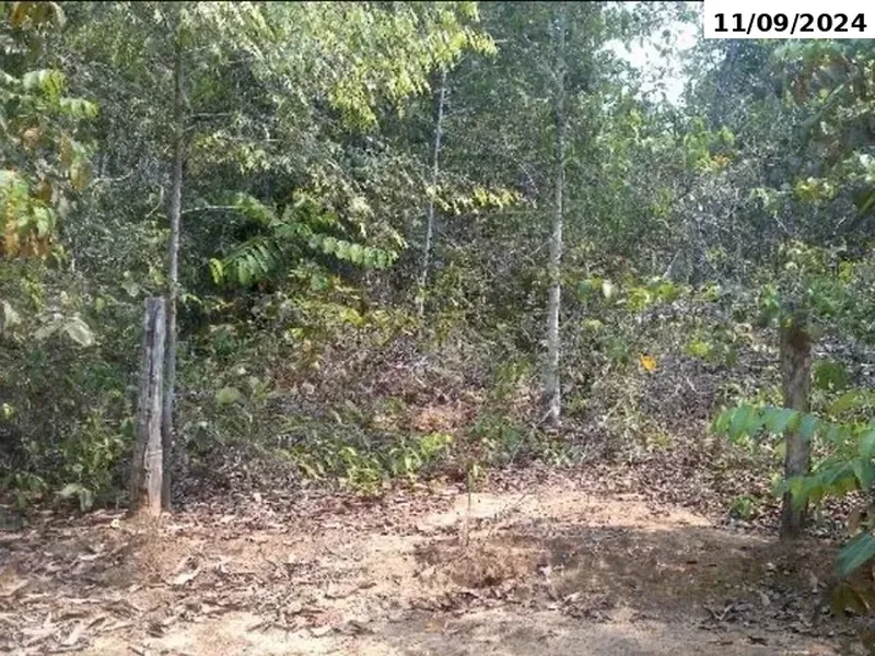 Imóvel rural em Leilão Judicial