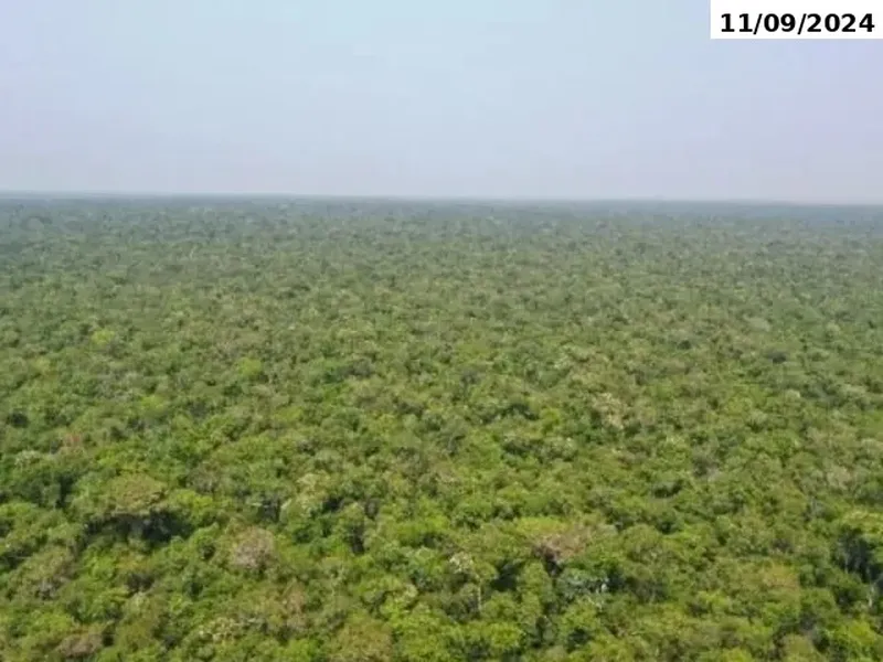 Imóvel rural em leilão