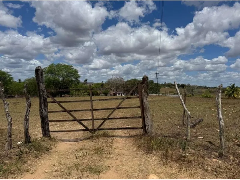 Imóvel rural em leilão