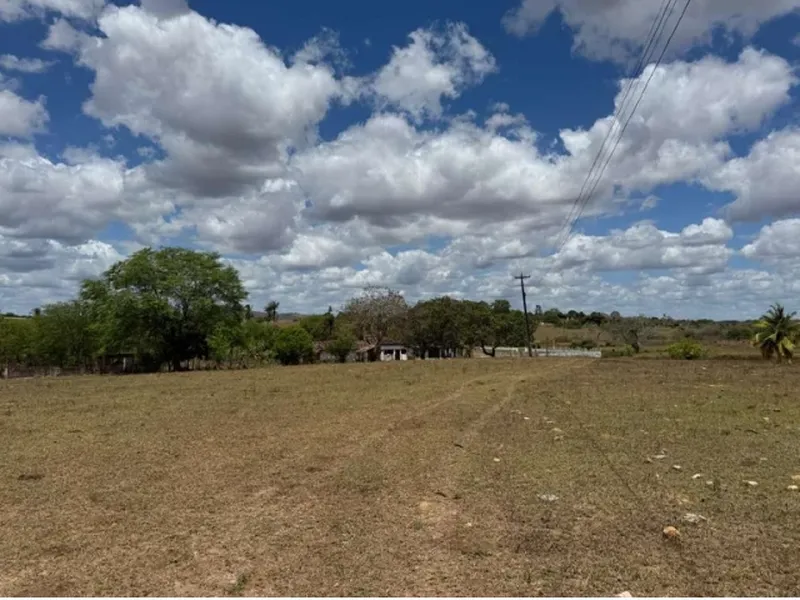 Imóvel rural em Leilão Judicial