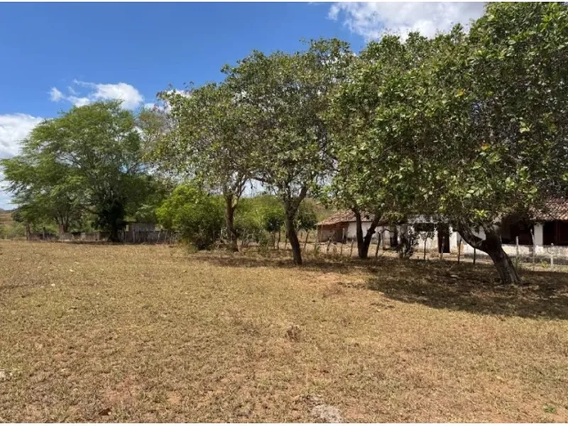 Imóvel rural em leilão