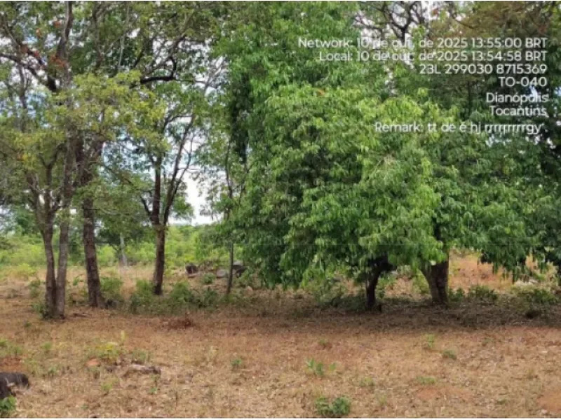 Imóvel rural em leilão