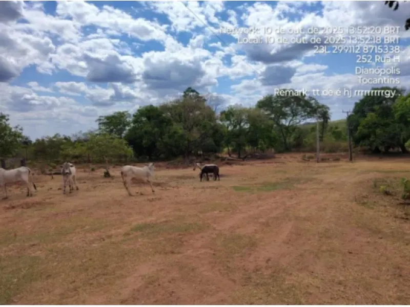 Imóvel rural em leilão