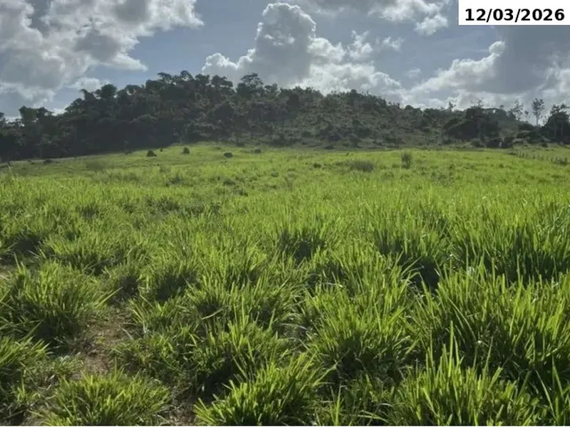Imóvel rural em leilão