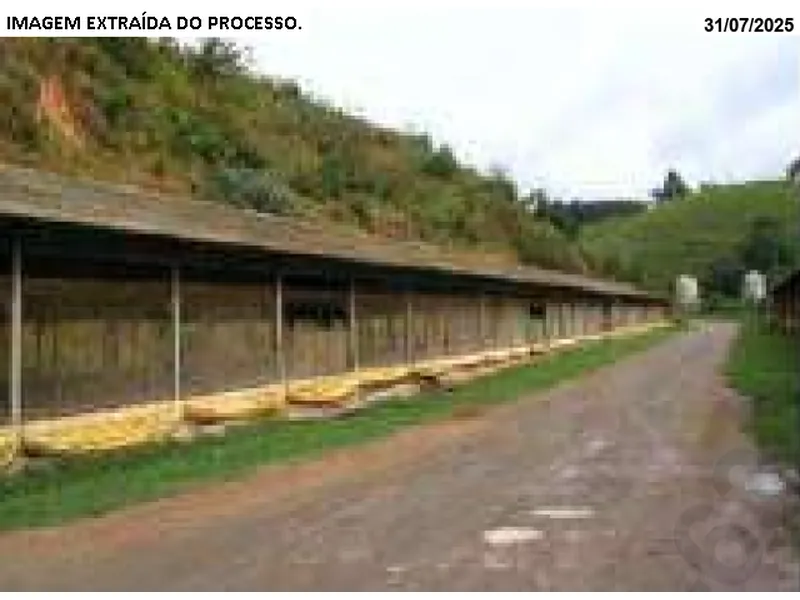 Imóvel rural em leilão