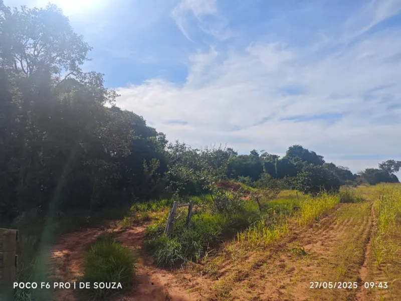 Imóvel rural em leilão