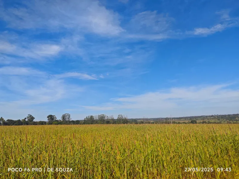 Imóvel rural em leilão