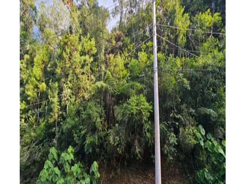 Terreno em leilão
