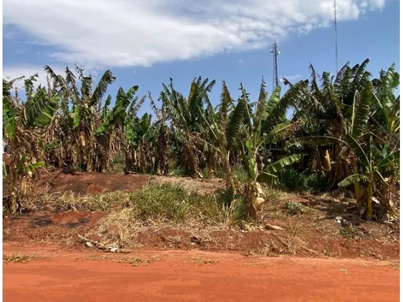 Terreno em leilão