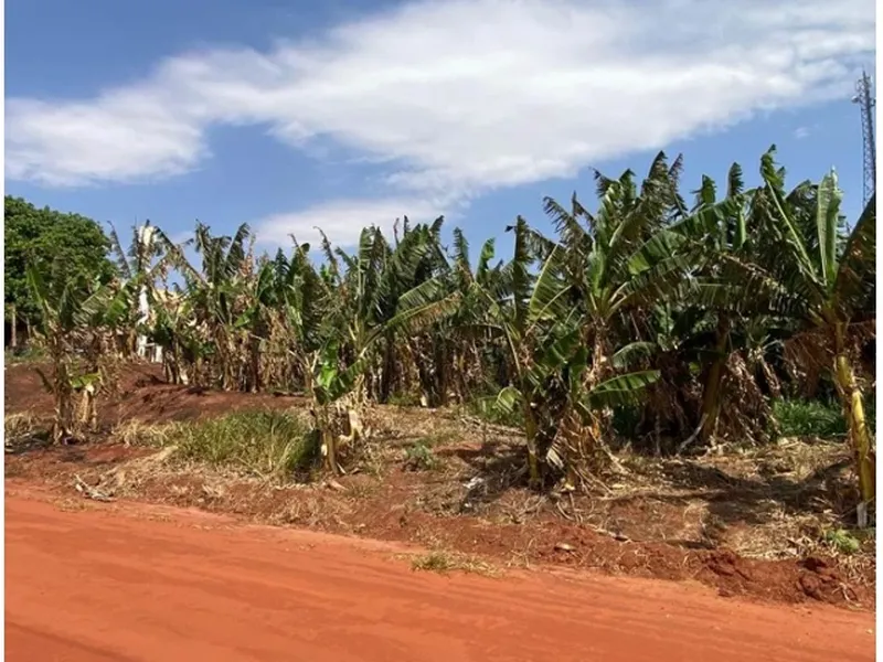 Terreno em leilão