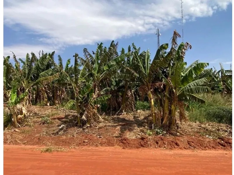Terreno em leilão