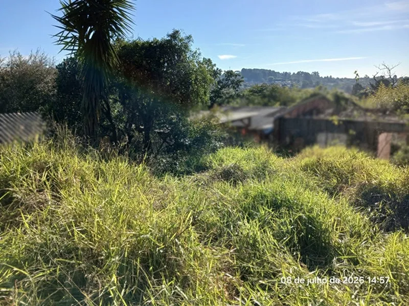 Terreno em leilão