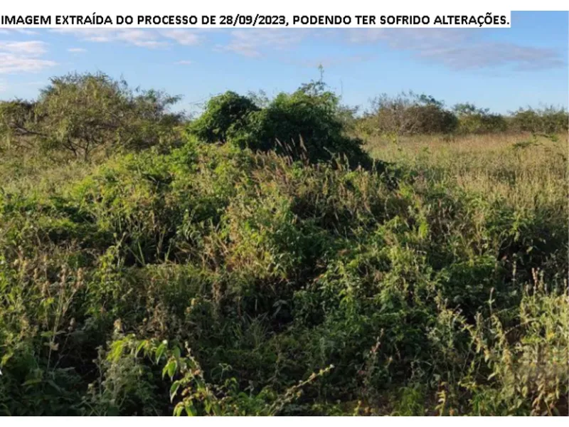Imóvel rural em leilão
