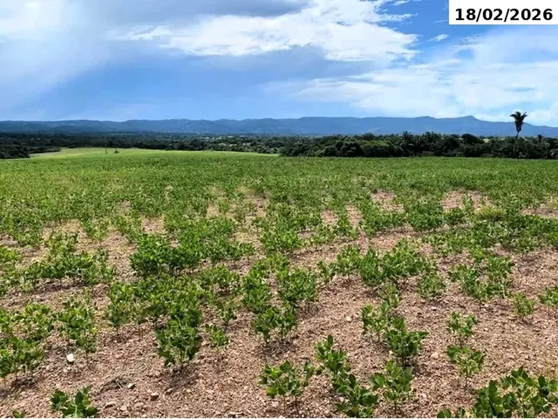 Imóvel rural em leilão