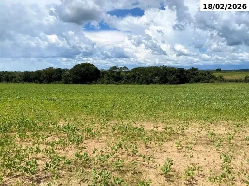 Imóvel rural em leilão